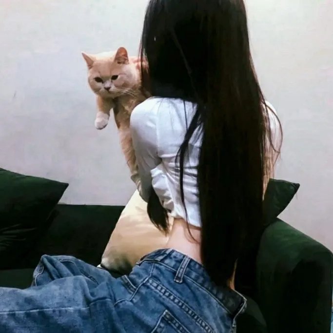 精英高中杀人案