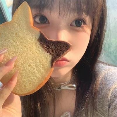 鸟类人间