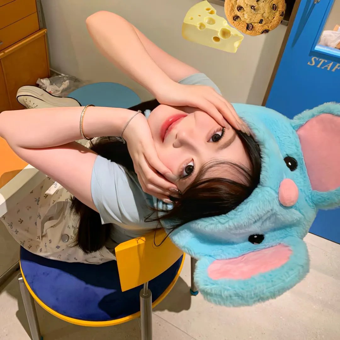 斑马头
